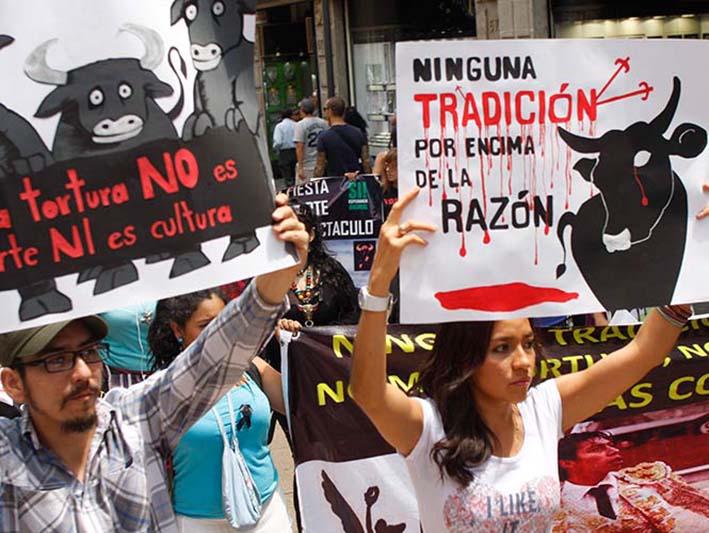 Para el senador liberal, Juan Manuel Galán, el congreso ya avanzó con la ley de maltrato animal de la cual fue ponente.