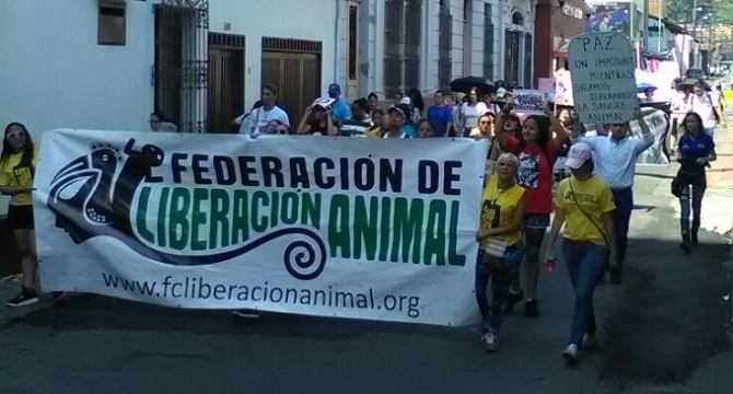 Recorrieron las principales calles de la capital de Boyacá desde la Plaza de Bolívar hasta Unicentro, confirmó la animalista.