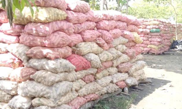 Muchas toneladas de maíz represadas en Chimá. Foto/cortesía/Agricultores.