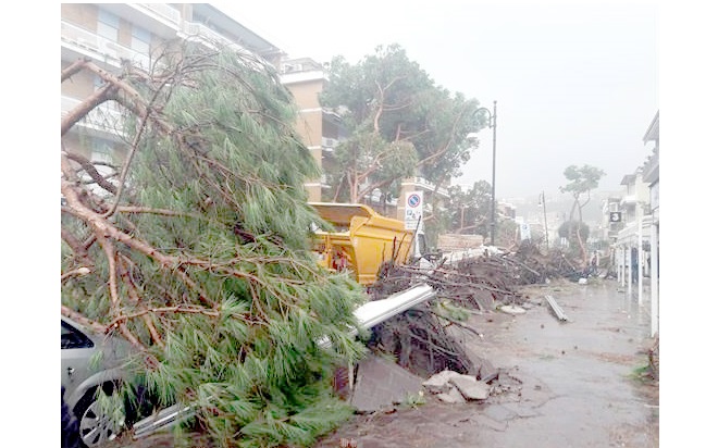 Varios vehículos aparcados han sido destrozados al caer un árbol debido a los fuertes vientos, en una calle deTerracina, Italia. EFE