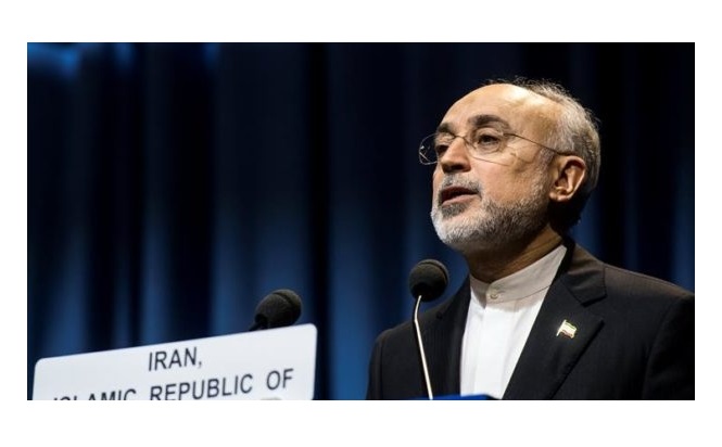 El vicepresidente iraní y responsable del programa nuclear de ese país, Ali Akbar Salehí.