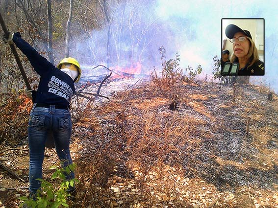 Los organismos de socorro confirmaron que los incendios forestales en área rural de Ciénaga, Pueblo viejo y Zona Bananera, son propiciado por inescrupulosos.