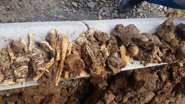 Los restos óseos fueron entregados a la alcaldía municipal, quien los tiene bajo custodia en la Casa de la Cultura.