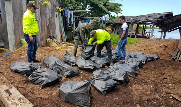 El cargamento de 500 kilos de cocaína en bolsas negras.