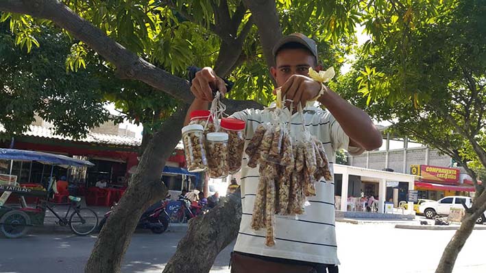La venta de la semilla de marañón en cualquier parte de Riohacha, lugar donde no se expendía, hace que los venezolanos las vendan diariamente y a los guajiros les ha gustado.