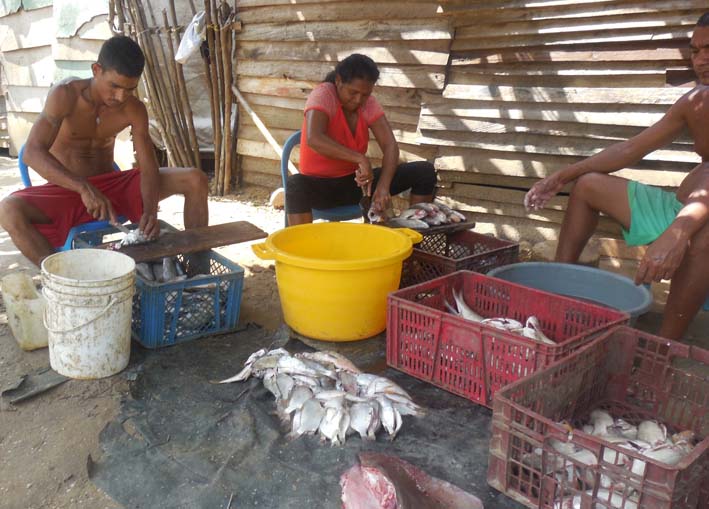 Los pescadores de Dibulla están llamados a desaparecer.