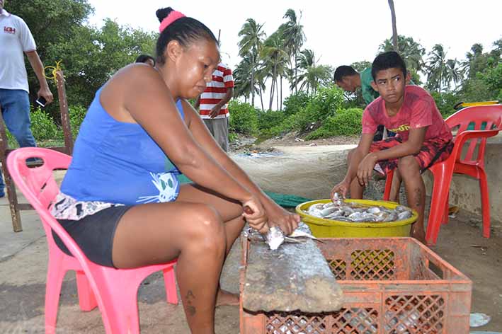 Mujeres que trabajan diariamente sacando las vísceras de los pescados en Dibulla