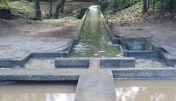 Asaa controla producción de agua durante creciente súbita del río Tapia.