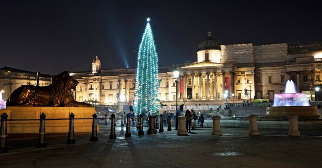 Árbol de Navidad de 20 metros de alto  tras su iluminación en la Plaza Trafalgar de Londres (Reino Unido).