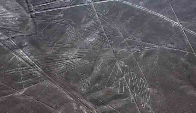 Hace más de 1.500 años existen las líneas y figuras de animales labradas en la tierra por los Nazca 