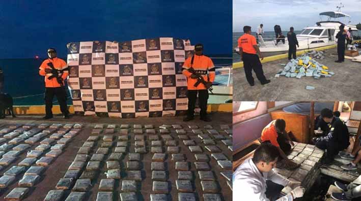 Se encontraron dos caletas con 'panelas' (bloques) de cocaína que pesaban 390,5 kilos