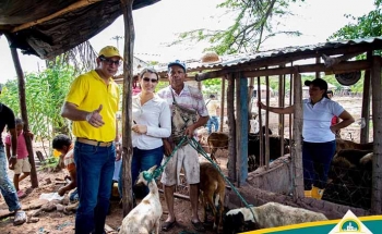 Habitantes de la comunidad de Los Zanjones en el municipio de Villanueva, recibieron los ovinos en el proyecto piloto que tiene la administración municipal. Habitantes de la comunidad de Los Zanjones en el municipio de Villanueva, recibieron los ovinos en el proyecto piloto que tiene la administración municipal.
