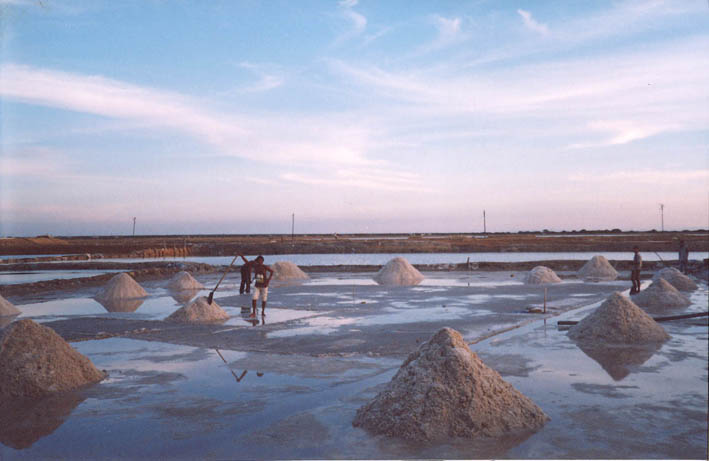 Trabajos de mantenimiento en la línea Manaure – Uribía, privará a los habitantes de los municipios antes mencionados de tener fluido eléctrico este lunes entre las 8:30 a.m. y las 3:30 p.m. Trabajos de mantenimiento en la línea Manaure – Uribía, privará a los habitantes de los municipios antes mencionados de tener fluido eléctrico este lunes entre las 8:30 a.m. y las 3:30 p.m.