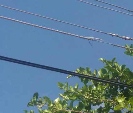 Esta línea de energía, que se encuentra débil, tiene en ascuas a los habitantes del corregimiento de Papayal, zona rural del Municipio de Barrancas.