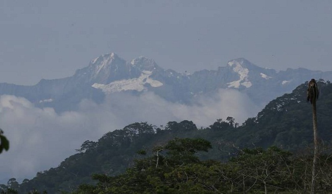 El anuncio lo dio a conocer el ministro de Ambiente desde Valledupar, tras reunirse con representantes indígenas de la zona.