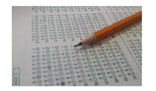 Más de 260.000 estudiantes podrán acceder a los resultados de las pruebas desde mañana.