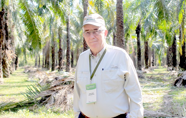 El presidente ejecutivo de la Federación Nacional de Cultivadores de Palma de Aceite (Fedepalma), Jens Mesa.