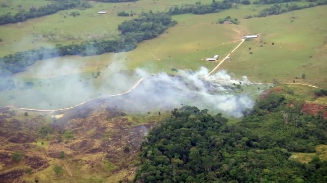 En coordinación con la Fiscalía General y el Ministerio del Medio Ambiente, desde abril de 2019 se ejecuta la Campaña Artemisa, que busca detener la deforestación en el país, y sobre la cual ya se han realizado cinco fases.