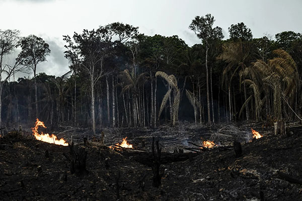Sectores de la selva amazónica colombiana deforestados por quemas ilegales. Foto EFE