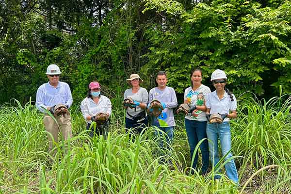 Funcionarios de la empresa Drummond antes de liberar a tortugas morrocoy en departamento del Cesar.