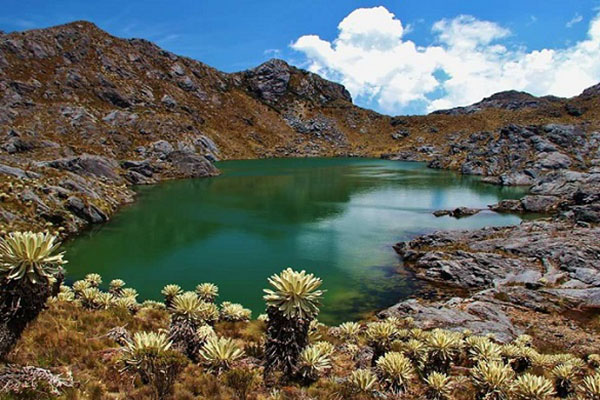 En Chinácota, logran histórico acuerdo para delimitar el  Páramo de Santurbán