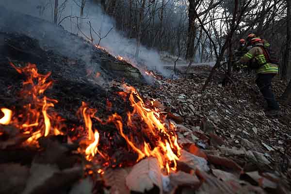 Imagen de referencia de bomberos intentando apagar un incendio forestal. Foto EFE