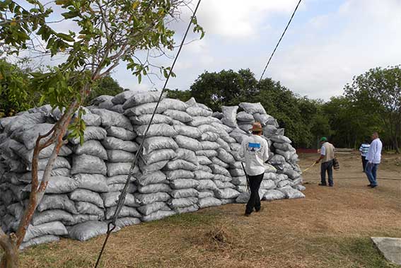 El material confiscado estaba distribuido en 2.500 sacos. El recurso forestal impactado corresponde a las especies Trupillo, Guamacho y Macurutú.