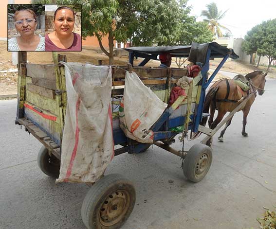 Los carromuleros laboran como recicladores y recolectores de basura a diario en la ciudad.