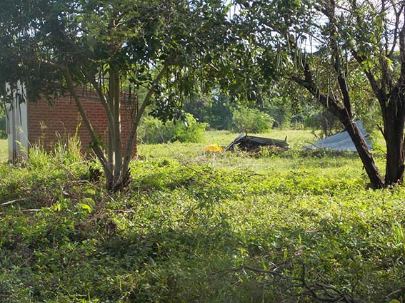 Los techos de algunas viviendas han sido arrazados por las brisas.
