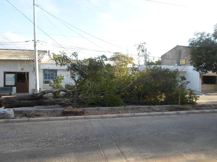 El Centro de Riohacha ha sido un sector bastante afectado.