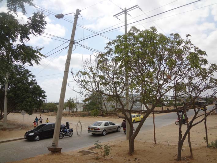 Postes torcidos que podría ser un peligro para el sector del barrio Comfamiliar 2000. Postes torcidos que podría ser un peligro para el sector del barrio Comfamiliar 2000.