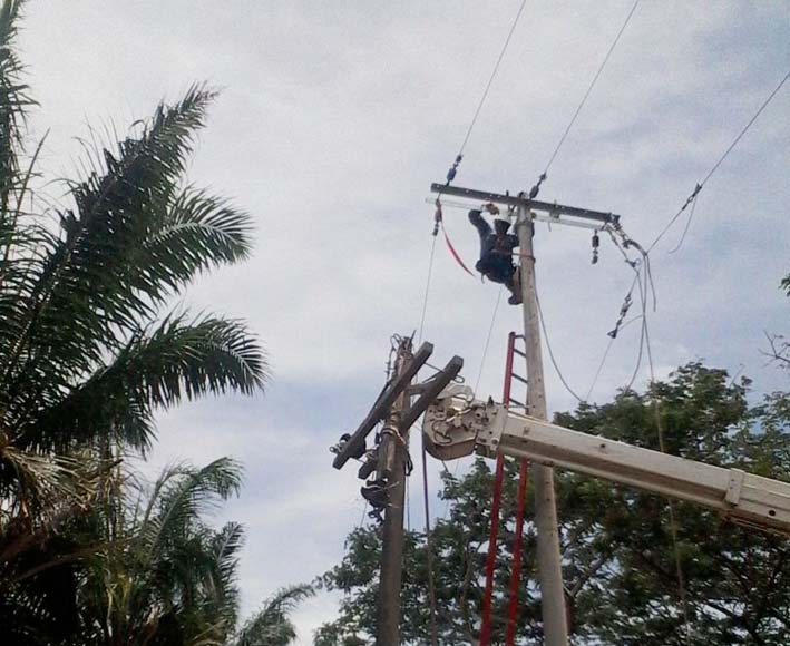 La empresa realizó trabajos de mantenimiento en el circuito Matitas que alimenta las poblaciones de la Troncal del Caribe. La empresa realizó trabajos de mantenimiento en el circuito Matitas que alimenta las poblaciones de la Troncal del Caribe.