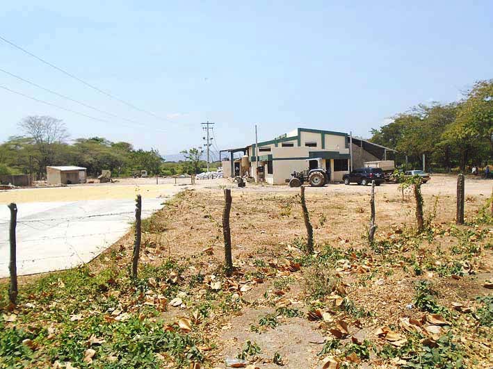 Esta es la arrocera que se ha reconectado de la red de energía de manera irregular. Esta es la arrocera que se ha reconectado de la red de energía de manera irregular.