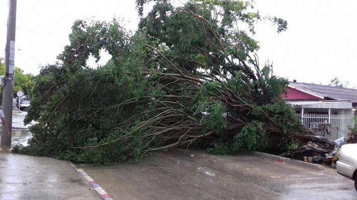 El fenómeno natural comenzó a las 4 de la tarde, primero con un temporal de terror y después la tormenta y la lluvia con los estragos descritos.