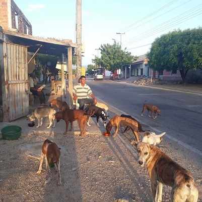 Los caninos reciben atención y cuido de parte de Yuritza Bolívar y la Fundación Huellitas Papayaleras. 