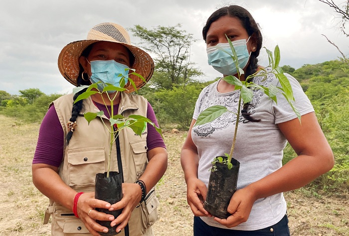La asociación indígena Awavichor, en trabajo conjunto con la multinacional, sembrarán 27.000 árboles típicos del bosque seco tropical junto con múltiples plantas nativas en el departamento de La Guajira durante el resto de 2021