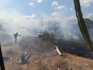 CorpoGuajira invita a no ocasionar ningún tipo de fuego por las fuertes brisas, queriendo evitar incendios forestales en esta temporada alta de sequías. 