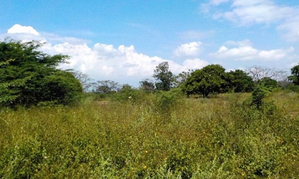 Debajo de esta tierra hay oro negro y una empresa está empeñada en extraerlo, pero existen ciertas dificultades para hacerlo.