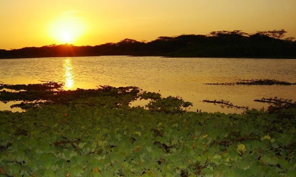 Con el fin de formular medidas de manejo ambiental necesarias para su conservación, la autoridad ambiental de La Guajira, CorpoGuajira ha delimitado 17 humedales que existen en el Departamento.