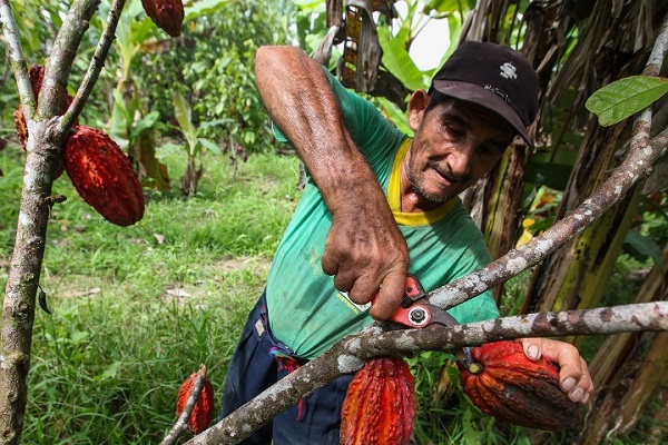 Los campesinos esperan que los diputados visibilicen sus necesidades ante el gobernador para que les arreglen los carreteables y sacar sus productos a los mercados. Los campesinos esperan que los diputados visibilicen sus necesidades ante el gobernador para que les arreglen los carreteables y sacar sus productos a los mercados.