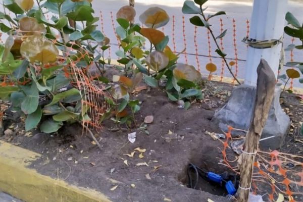 Mallas de protección rotas en la avenida Primera de Riohacha, instaladas para resguardar las plantas sembradas. Foto Clímaco Rojas 