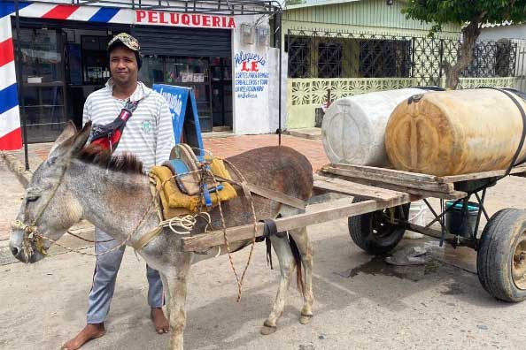  La presencia de burros en el centro urbano de Maicao es una práctica histórica que hoy enfrenta procesos de regulación orientados a la protección animal y la movilidad segura.