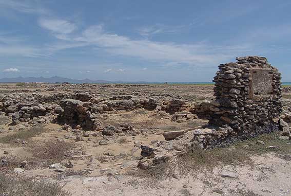 Los inicios de este proceso se dan fundamentalmente en la llamada costa de las perlas en Venezuela y en la isleta de Cubagua, lo cual abarca las primeras décadas del siglo XVI en las cuales surge la ciudad de Nueva Cádiz de Cubagua.