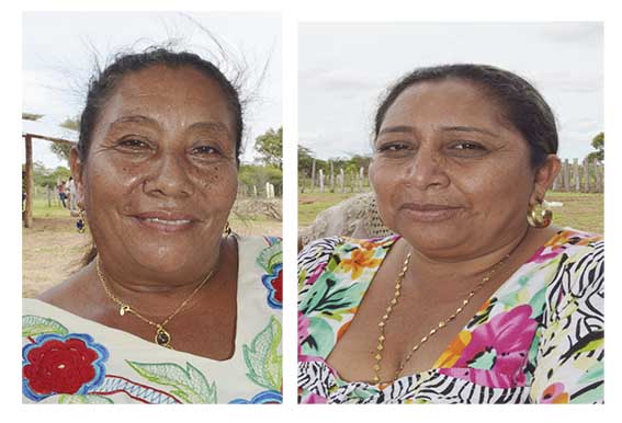 Daisy Leonor Camargo Cotes y María Estenis Palmar González