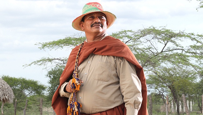 En la etnia Wayúu el hombre no tejía, en la actualidad hacen los atuendos que le colocan al asno y al caballo, hacen sombreros y pellones, entre otros; pero ayudan a las artesanas haciendo las asas de las mochilas.