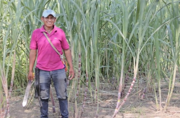 Los campesinos en el Distrito tienen la importancia que el ejecutivo ha pretendido, que su gobierno llegue a todas las comunidades.