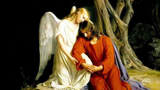 El Papa San Pío X decía que los ángeles son las criaturas más nobles creadas por Dios; son inmortales, tienen voluntad propia, poseen conocimientos más amplios y su poder es muy superior al de los hombres.