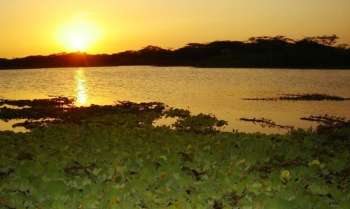 Con el fin de formular medidas de manejo ambiental necesarias para su conservación, la autoridad ambiental de La Guajira, CorpoGuajira ha delimitado 17 humedales que existen en el Departamento. Con el fin de formular medidas de manejo ambiental necesarias para su conservación, la autoridad ambiental de La Guajira, CorpoGuajira ha delimitado 17 humedales que existen en el Departamento.